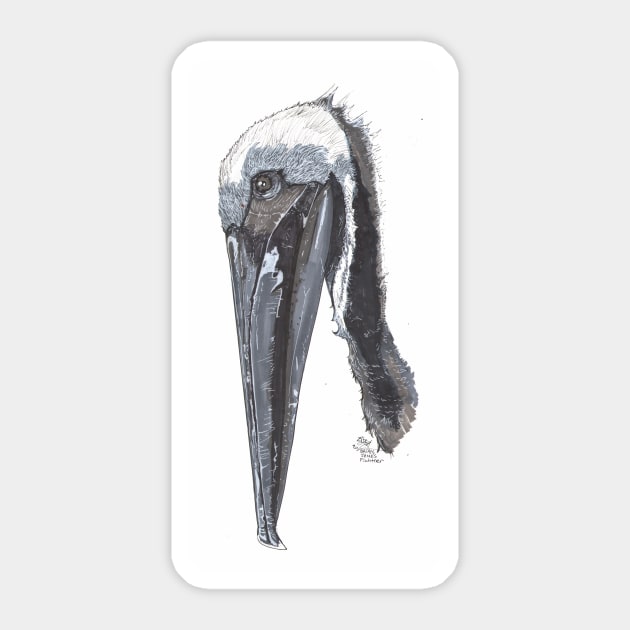 Brown Pelican Sticker by ArtofBJF